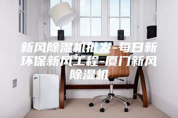 新风除湿机批发-每日新环保新风工程-厦门新风除湿机