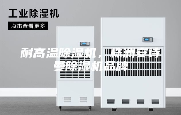 耐高温除湿机，株洲安诗曼除湿机品牌