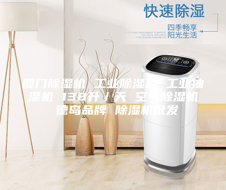 厦门除湿机 工业除湿机 工业抽湿机 138升／天 空气除湿机 德岛品牌 除湿机批发