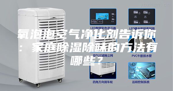 氧泡泡空气净化剂告诉你：家庭除湿除味的方法有哪些？