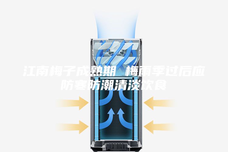 江南梅子成熟期 梅雨季过后应防寒防潮清淡饮食