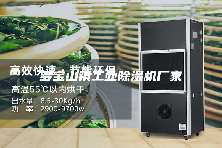 多宝山镇工业除湿机厂家