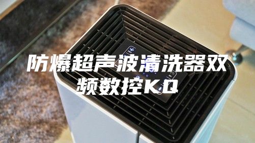 防爆超声波清洗器双频数控KQ