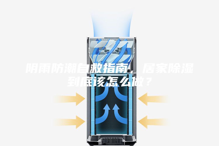 阴雨防潮自救指南，居家除湿到底该怎么做？