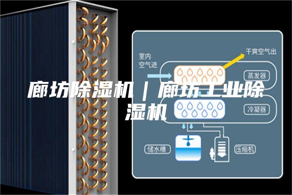 廊坊除湿机｜廊坊工业除湿机