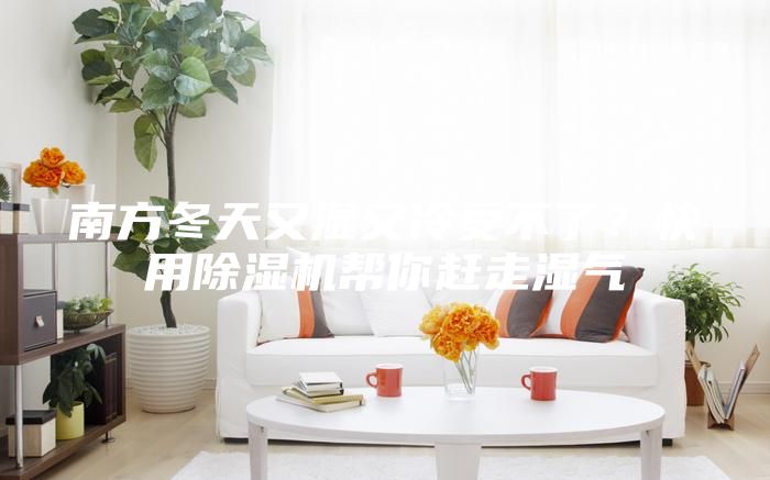 南方冬天又湿又冷受不了？快用除湿机帮你赶走湿气