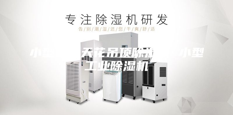 小型迷你天花吊顶除湿机 小型工业除湿机