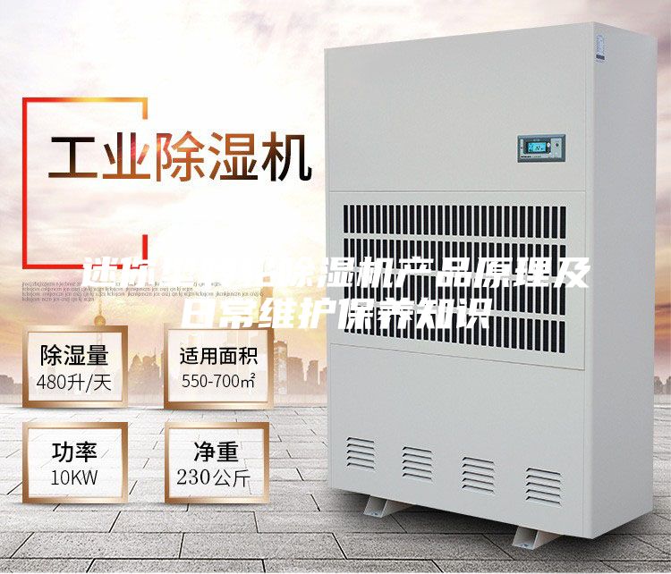 迷你型转轮除湿机产品原理及日常维护保养知识