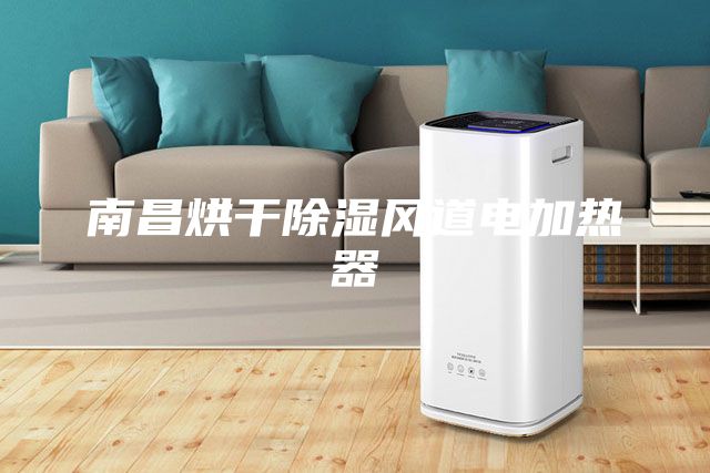 南昌烘干除湿风道电加热器
