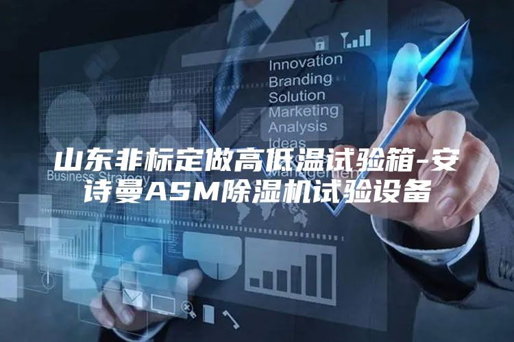 山东非标定做高低温试验箱-安诗曼ASM除湿机试验设备