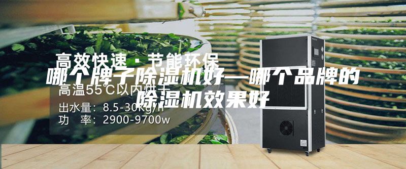 哪个牌子除湿机好—哪个品牌的除湿机效果好