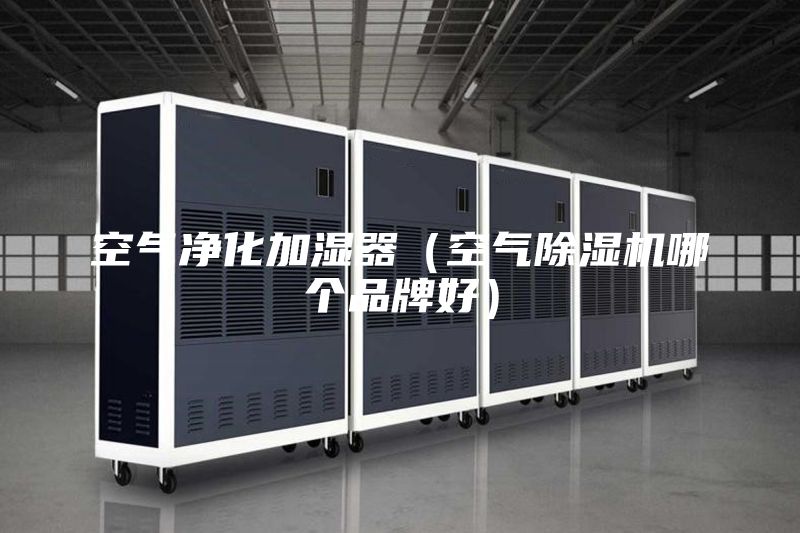 空气净化加湿器（空气除湿机哪个品牌好）