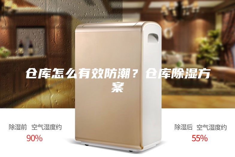 仓库怎么有效防潮？仓库除湿方案