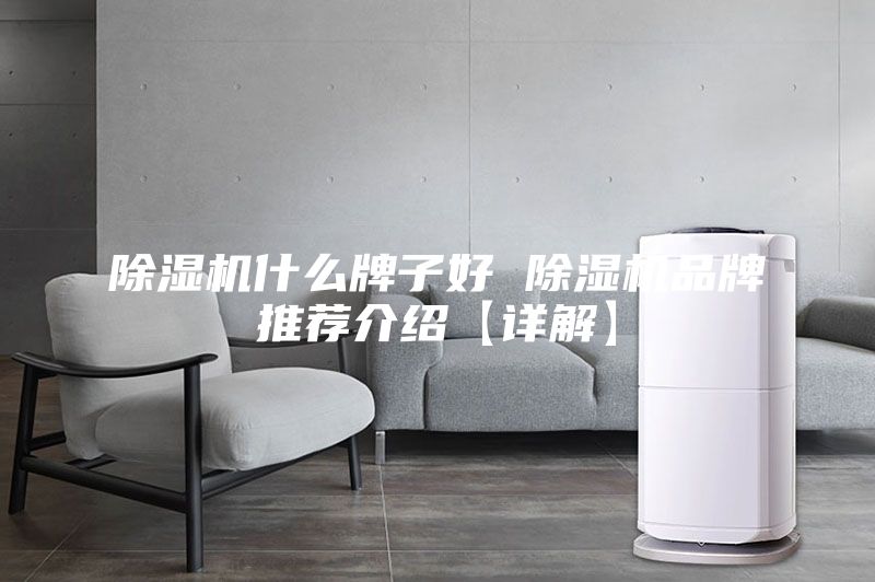 除湿机什么牌子好 除湿机品牌推荐介绍【详解】