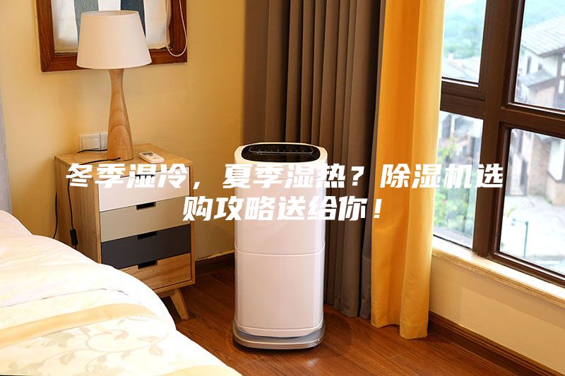 冬季湿冷，夏季湿热？除湿机选购攻略送给你！