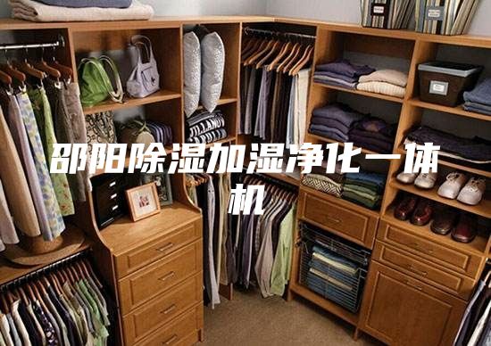 邵阳除湿加湿净化一体机