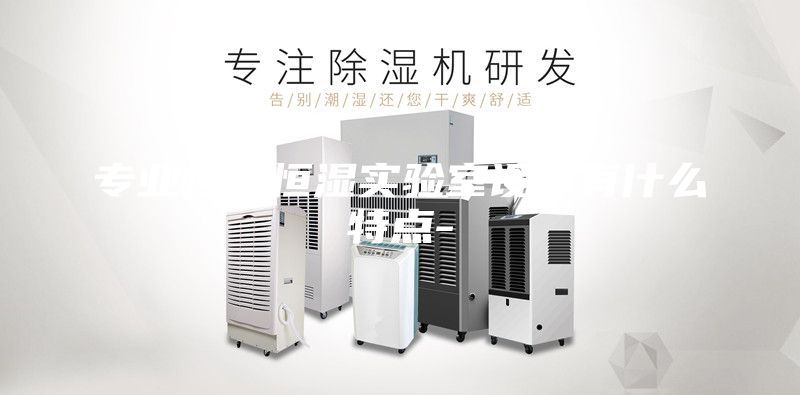 专业恒温恒湿实验室设计有什么特点-