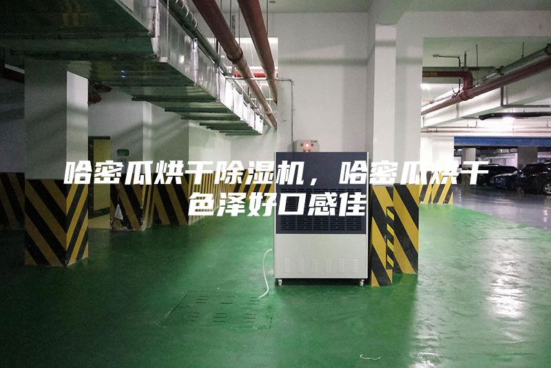 哈密瓜烘干除湿机，哈密瓜烘干色泽好口感佳