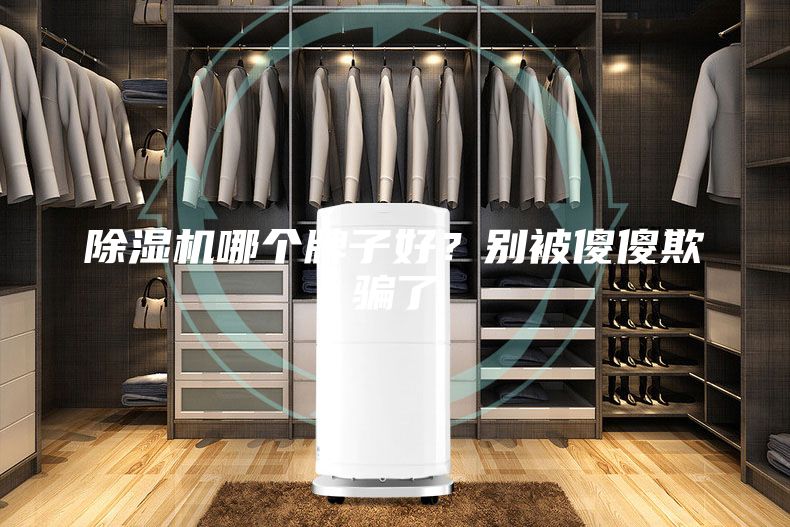 除湿机哪个牌子好？别被傻傻欺骗了