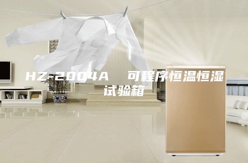 HZ-2004A  可程序恒温恒湿试验箱