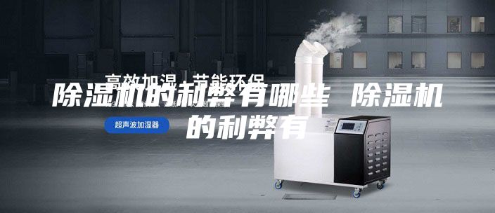 除湿机的利弊有哪些 除湿机的利弊有