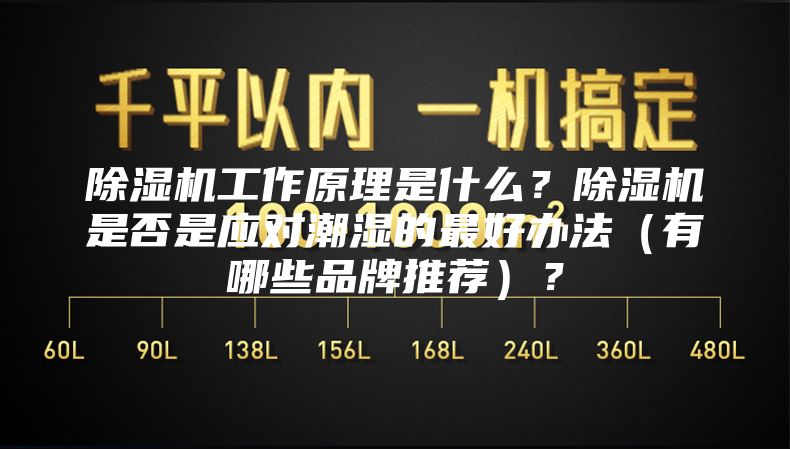 除湿机工作原理是什么？除湿机是否是应对潮湿的最好办法（有哪些品牌推荐）？