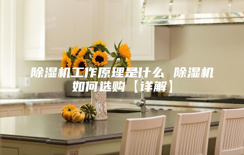 除湿机工作原理是什么 除湿机如何选购【详解】