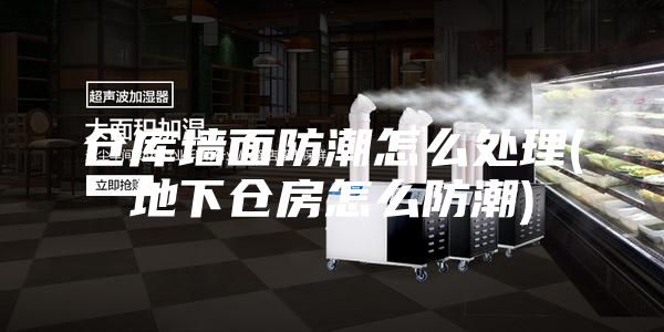 仓库墙面防潮怎么处理(地下仓房怎么防潮)