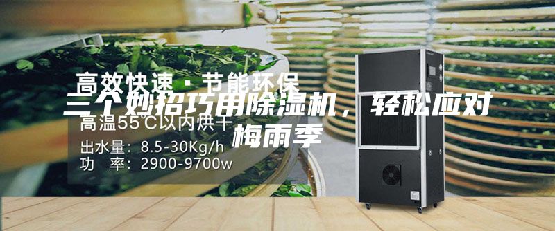 三个妙招巧用除湿机，轻松应对梅雨季