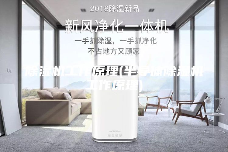 除湿机工作原理(半导体除湿机工作原理)