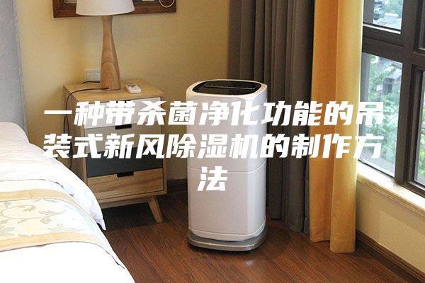 一种带杀菌净化功能的吊装式新风除湿机的制作方法