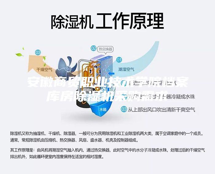 安徽商贸职业技术学院档案库房除湿机采购需求