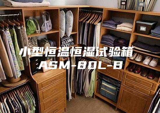 小型恒温恒湿试验箱 ASM-80L-B