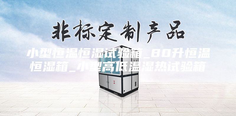小型恒温恒湿试验箱_80升恒温恒湿箱_小型高低温湿热试验箱