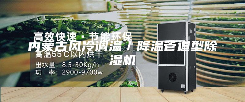 内蒙古风冷调温／降温管道型除湿机