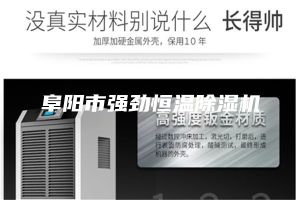 阜阳市强劲恒温除湿机