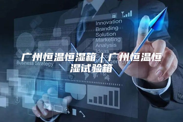广州恒温恒湿箱｜广州恒温恒湿试验箱