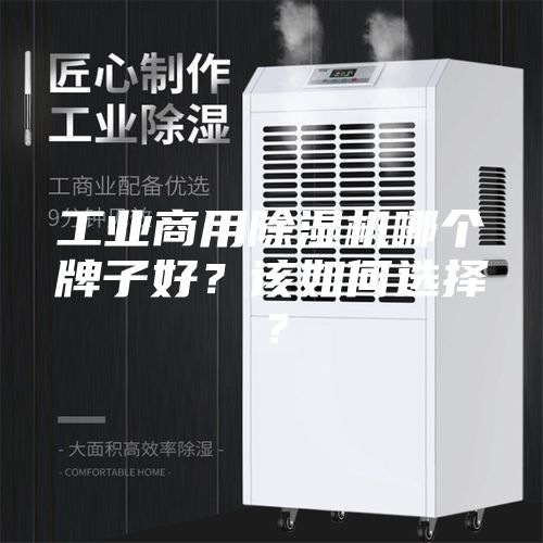 工业商用除湿机哪个牌子好？该如何选择？