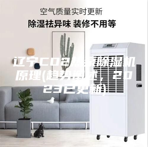 辽宁CO2热泵除湿机原理(趋势阐述，2023已更新)
