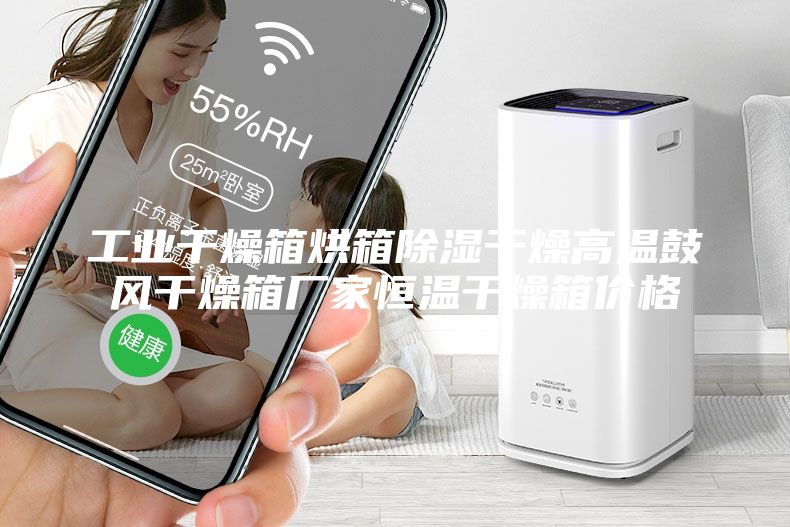 工业干燥箱烘箱除湿干燥高温鼓风干燥箱厂家恒温干燥箱价格