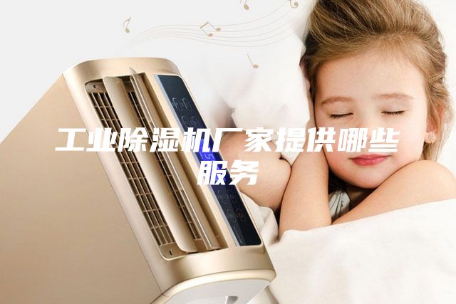 工业除湿机厂家提供哪些服务