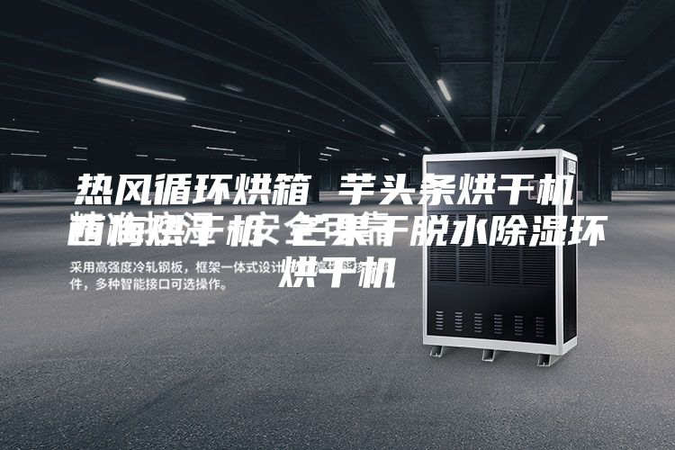 热风循环烘箱 芋头条烘干机 西梅烘干机 芒果干脱水除湿环烘干机