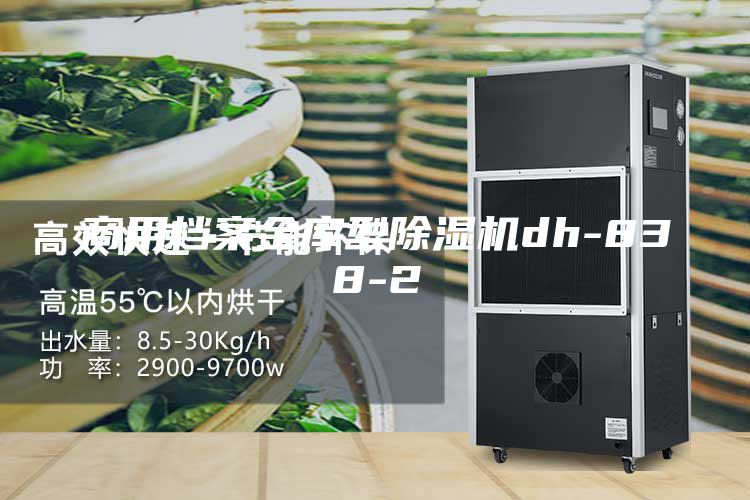 商用档案金库型除湿机dh-838-2