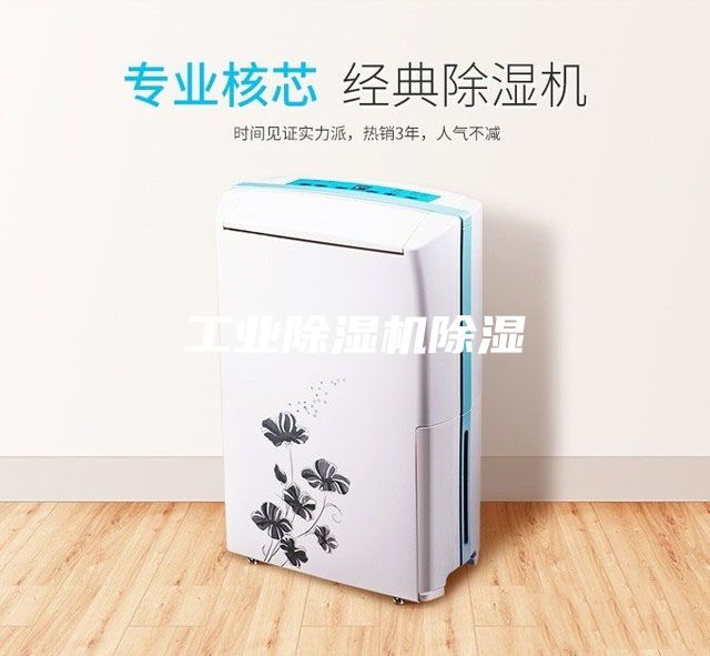 工业除湿机除湿