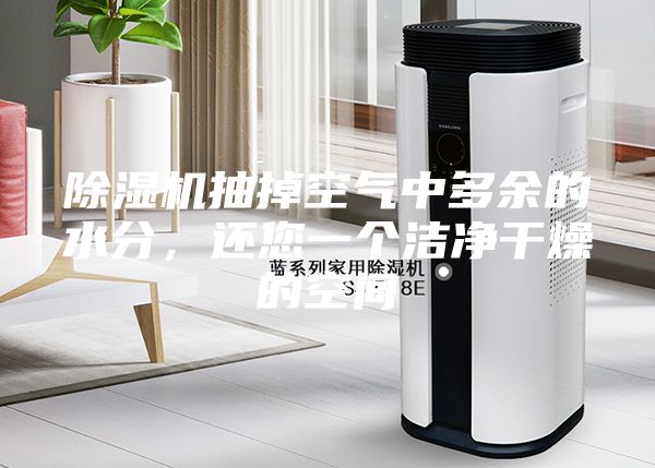 除湿机抽掉空气中多余的水分，还您一个洁净干燥的空间