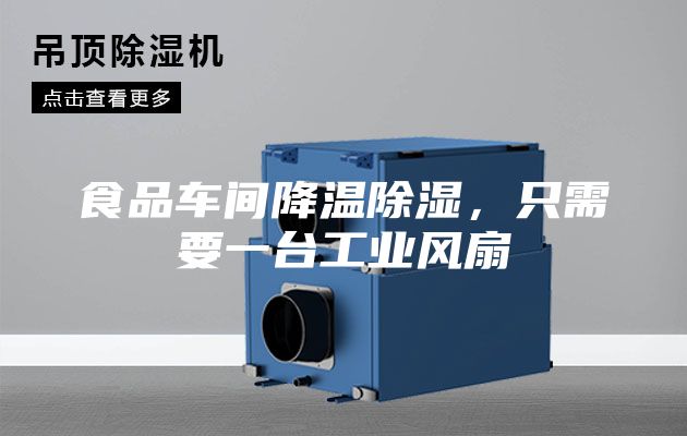 食品车间降温除湿，只需要一台工业风扇