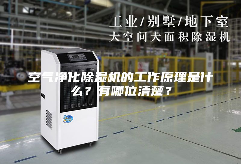空气净化除湿机的工作原理是什么？有哪位清楚？
