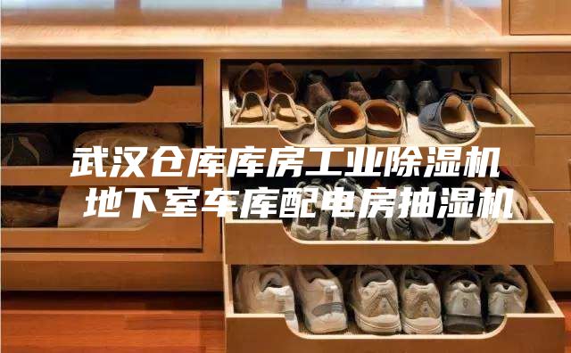 武汉仓库库房工业除湿机 地下室车库配电房抽湿机