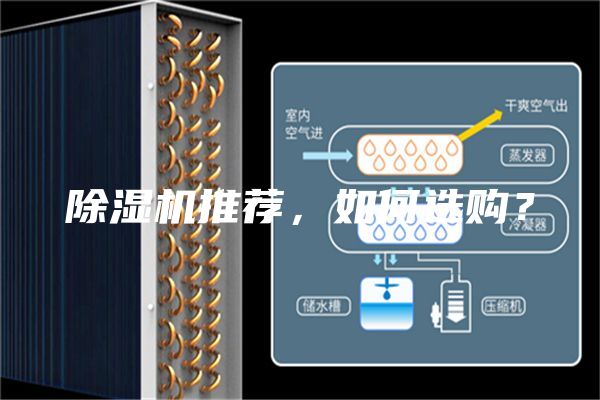 除湿机推荐，如何选购？