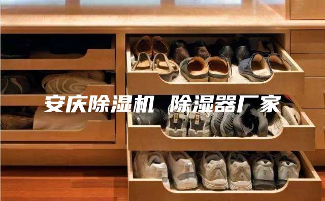 安庆除湿机 除湿器厂家